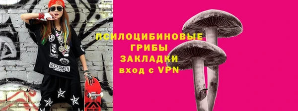 a pvp Вязьма